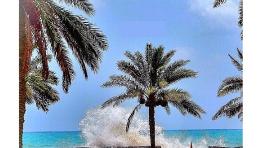 sea kalbaaaa_tcm4-32542_w640_h360.jpg image